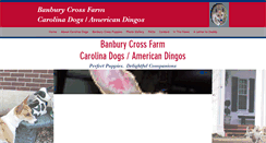 Desktop Screenshot of carolinadogs.com